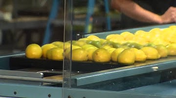 Sunkist Customer Success Video - Autodesk Digitial Prototyping