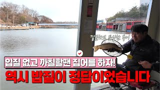 역시 입질 없고 까칠할땐 밥질이 정답이었습니다-경기 안성 명인낚시터(2024.12.17) #즐낚tv
