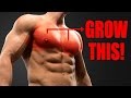 CHEST WORKOUT (MACHINES ONLY!)