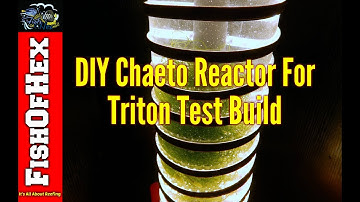 DIY Chaeto Reactor For Triton Method Test Build