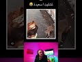 عتقي ا سعيدة