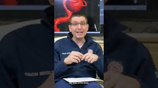 Repairing Memory After A Stroke