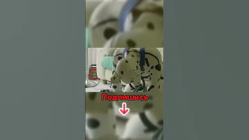 Люди Которые Живут Странной Жизнью!😱 #shorts #собака