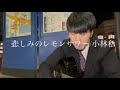 「悲しみのレモンサワー/小林私」をせめてもの抗いでグレープフルーツサワーで洗い流し弾き語る33歳独身限界社会人