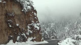 Misty Snowy Oak Creek Canyon Drive 1