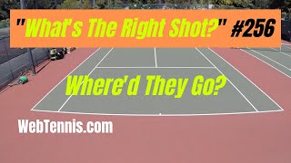 Doubles Strategy:  'WTRS?' # 256.  How many lobs does it take to ...?