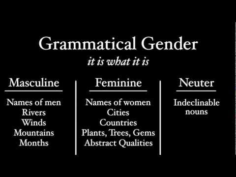 Latin Genders 105