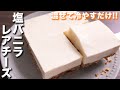 【混ぜて冷やすだけ】クリームチーズを使わず超濃厚！塩バニラレアチーズケーキの作り方【kattyanneru】