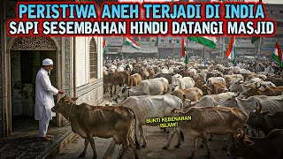 BUKTI KUASA ALLAH ❗ HEWANPUN TAHU MANA AGAMA YANG BENAR