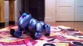 Genibo SD Autonomous