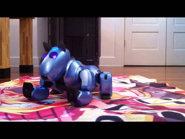 Genibo SD Autonomous - YouTube