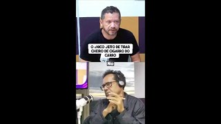 O segredo para eliminar o cheiro de cigarro e fungos do carro revelado!