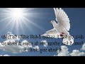 parindon ko milegi manjil | #shorts #love_status #shayari #reels