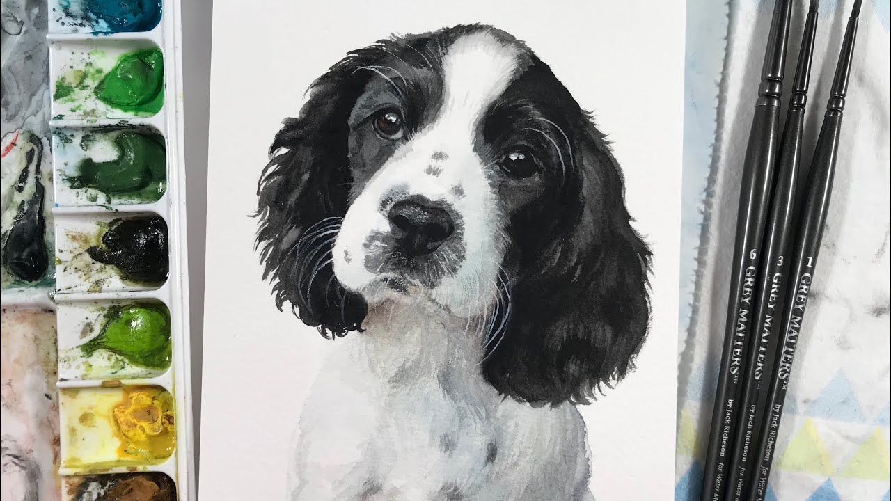 How To Draw A Springer Spaniel