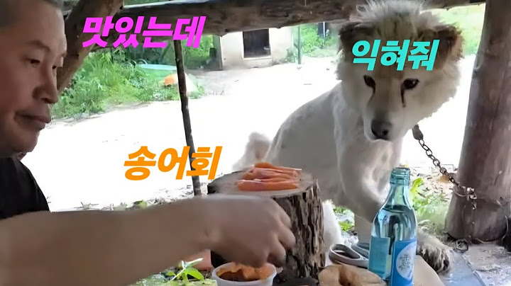 회 어케뜨냐 비는내리고