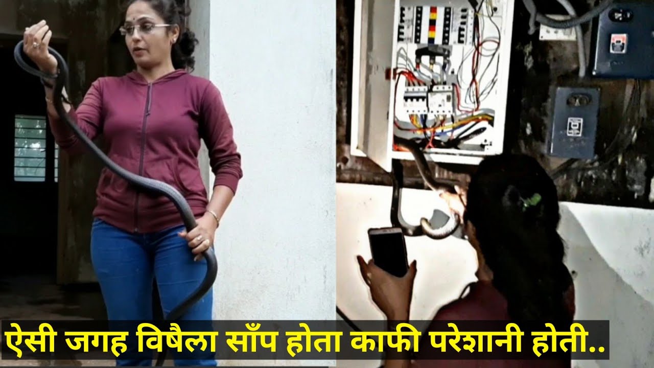 black rat snake tennessee || शुक्र है यह विषैला साँप नही था || Another ratsnake rescued at VTU Belgaum ||