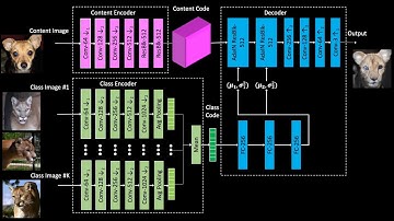 Few-shot Unsupervised Image-to-Image Translation
