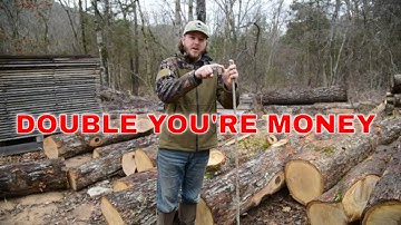 The ULTIMATE GUIDE to GRADING TIE LOGS