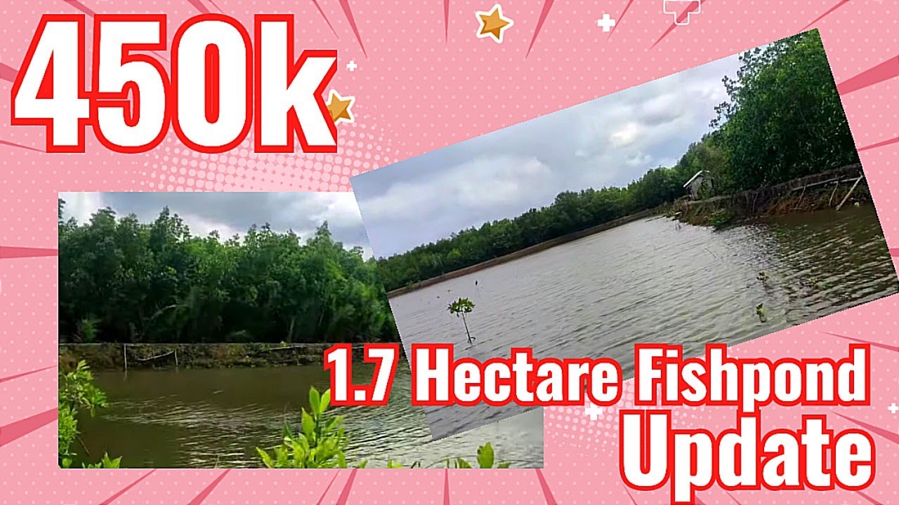 🏷️450k 1.7 Hectare Fishpond Near Beach Update. Upload 4 months ago