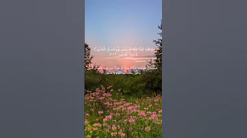 سورة المؤمنون 111 114 للقارئة سهيلة ايمن 