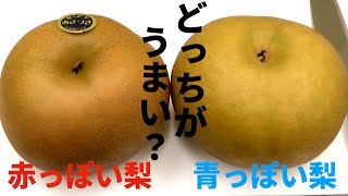 【検証】同じ品種の色違いの梨を詳しく調べ倒してみました【あきづき梨】