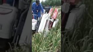 Garlic harvesting work with YANMAR Garlic Harvester HZ1 #shorts #agrimachinery