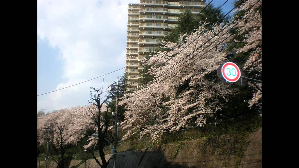 みんなのうた　いろはまつり