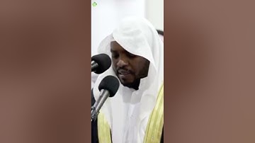 تلاوة جميلة من آخر سورة الحشر