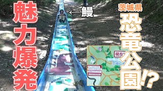 恐竜だらけの公園が魅力的すぎた！【銀シャリ】