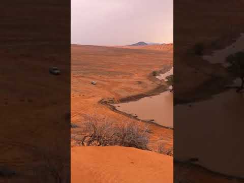 ياسعد ليت العرب