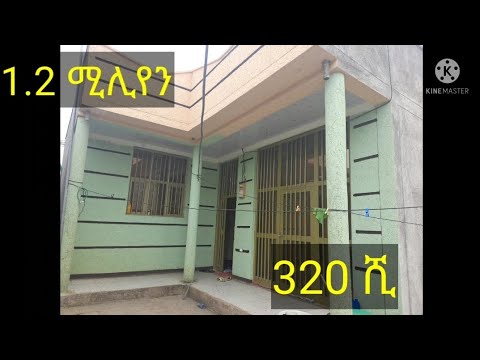 ቪዲዮ: ለሳመር መኖሪያ ቤት ጀነሬተር -እንዴት እንደሚመረጥ ፣ የኤሌክትሪክ ኃይል መቋረጥ እና ዝም ቢል አውቶማቲክ ጅምር ያለው። ከቤት ጋር እንዴት እንደሚገናኝ?