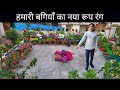 New look of hamari bagiya  garden overview  beautiful flower garden