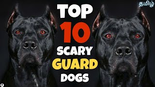 Top 10 scary looking guard dogs | Intimidating | powerful | funny