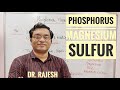 Phosphorus, Magnesium and Sulfur