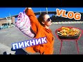 VLOG. Устроили Пикник / Выходной день