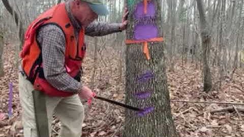 Marking Boundary Lines Part 2