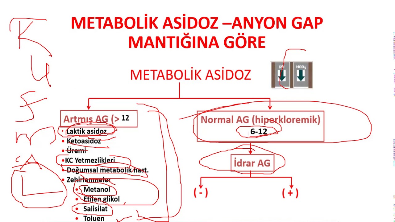 Renal Tubuler Asidozlar