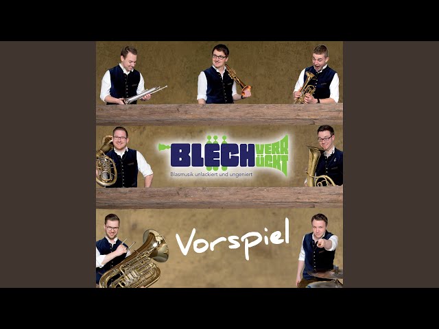 BLECHVERRÜCKT - Gipfelstürmer-Polka