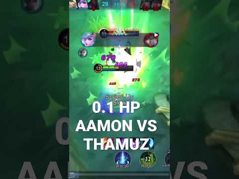 0.1 HP AAMON