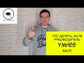 Что делать если руководитель умнее вас?!