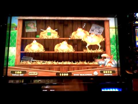 Hatch the Cash slot win at Sands Casino at Bethleh...