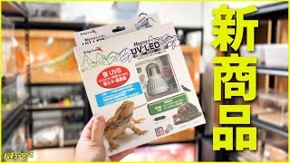 あの超人気商品の後継機！話題の爬虫類用UVライトをサクッとレビューします【マイクロUV LED】