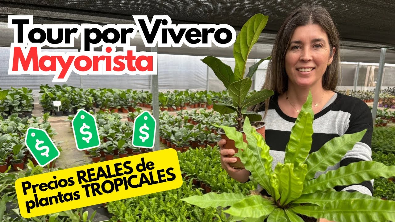 TOUR por VIVERO MAYORISTA[Plantas TROPICALES] Nombres y Precios de TODO! 😱