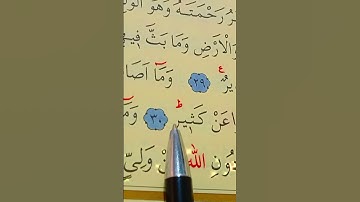 سورة الشورى الأية 29 إلى 31 بصوت سعد الغامدي