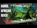 EPIC 3 METER AFRICAN RIVER AQUASCAPE AT INTERZOO 2024