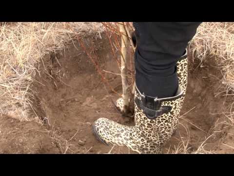 Видео: Мод тарих талаар