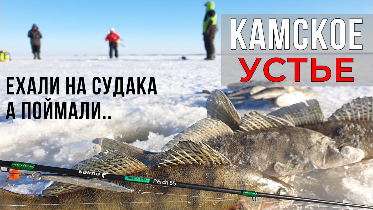 В волге поймали чудовище