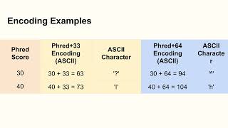 Understanding Phred Scores For Fastq Format