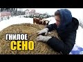 ДеревняLIFE #12. ГНИЛОЕ СЕНО + УБОРКА В КОРОВНИКЕ