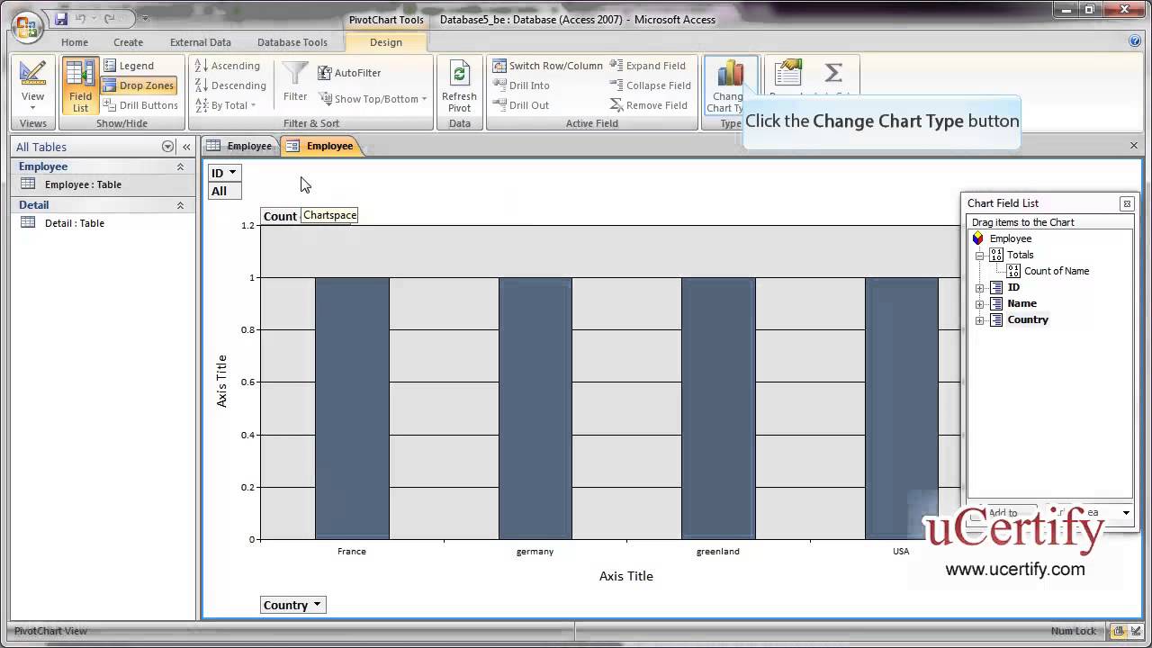 Microsoft Access 2007 Charts